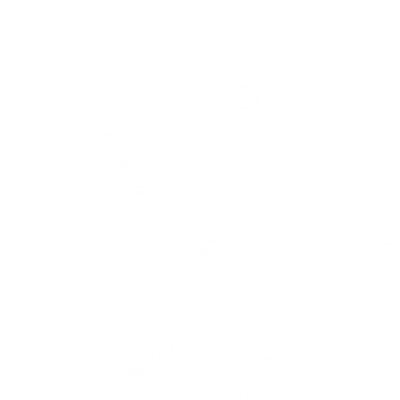 s40h003.g4tx