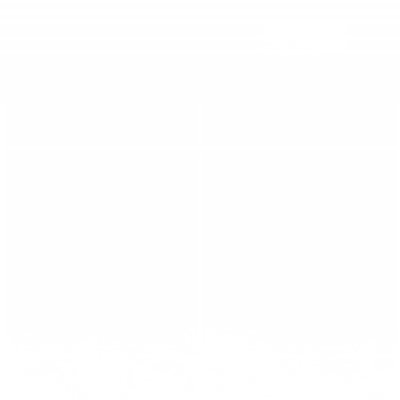 w10h010.g4tx