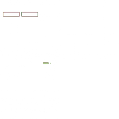 w10i000h09.g4tx