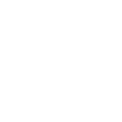 w50ao011.g4tx