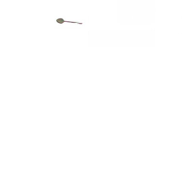 w50ai.g4tx