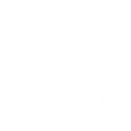 w50ai008a.g4tx