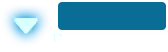 btl06_30.g4tx