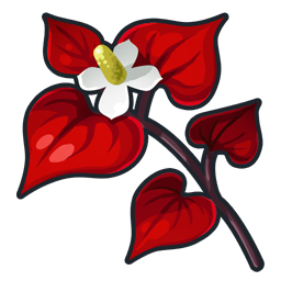 Braisecine rouge