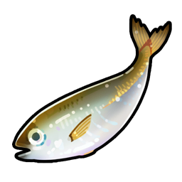 Chinchard