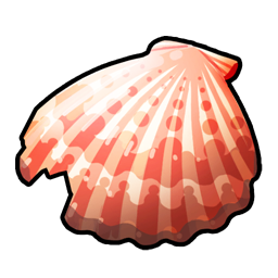 Coquillage ébreché
