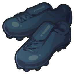 Crampons Baie des pirates