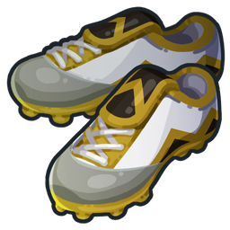 Crampons Griffe du sud