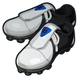Crampons Onze terrestre