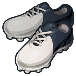 Crampons Raimon Lointe
