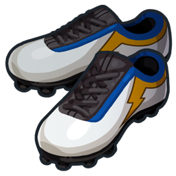 Crampons Champions de Raimon