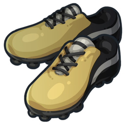 Crampons Orchid Academy