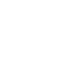 num_rodin.g4tx