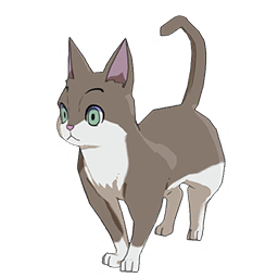 Chat tigré