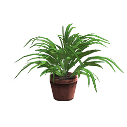 Plante en pot (feuilles pointues)