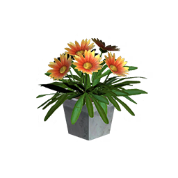 Fleurs jaunes en pot