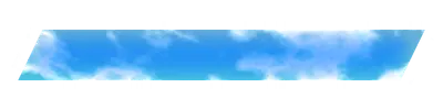 nm03101.g4tx