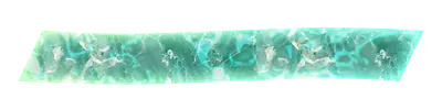 nm03301.g4tx