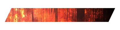 nm03601.g4tx
