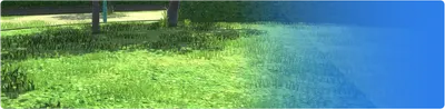 activity_note_01_003.g4tx