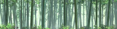 ev_ch_s72g001_0111.g4tx