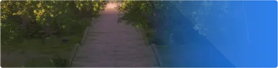 story_img001_s11.g4tx