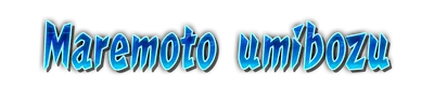 whd10080.g4tx