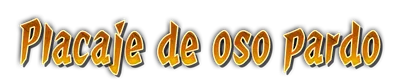 who01350_a000150.g4tx
