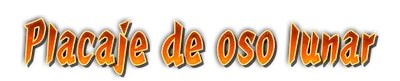 who01350_a000450.g4tx