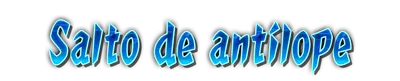 who01360_a000140.g4tx