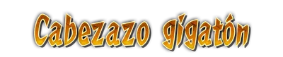 whs02070.g4tx