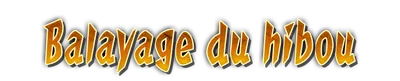 whd01410_a000080.g4tx