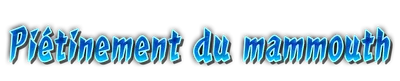whk01340_a000130.g4tx