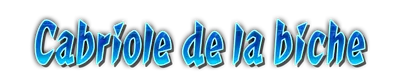 who01360_a000140.g4tx