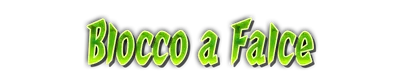 whd01280.g4tx