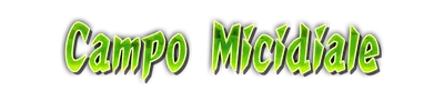who00480.g4tx
