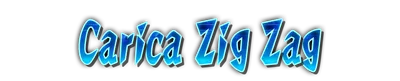 whs02970.g4tx