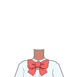Uniforme de Skie Blue