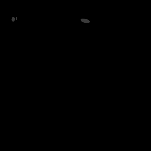 c02024070_20spm