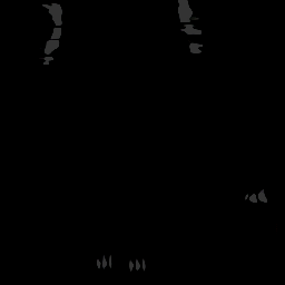 c03036780_20spm