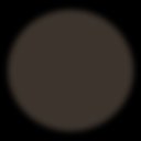 c04000160_20sp