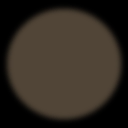 c04000260_20sp
