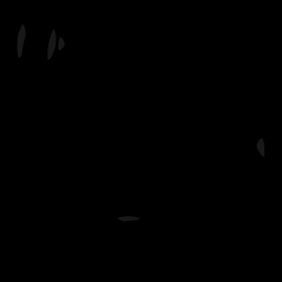 c05022900_20spm