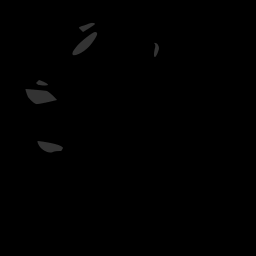 c05028500_20spm