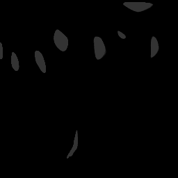 c06030810_20spm