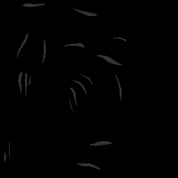 c06031300_20spm