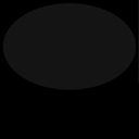 c07080040_20sp
