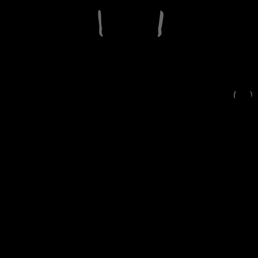 c11020500_20spm