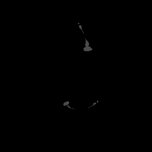 c11030510_20spm