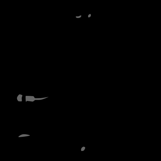 c11050510_20spm